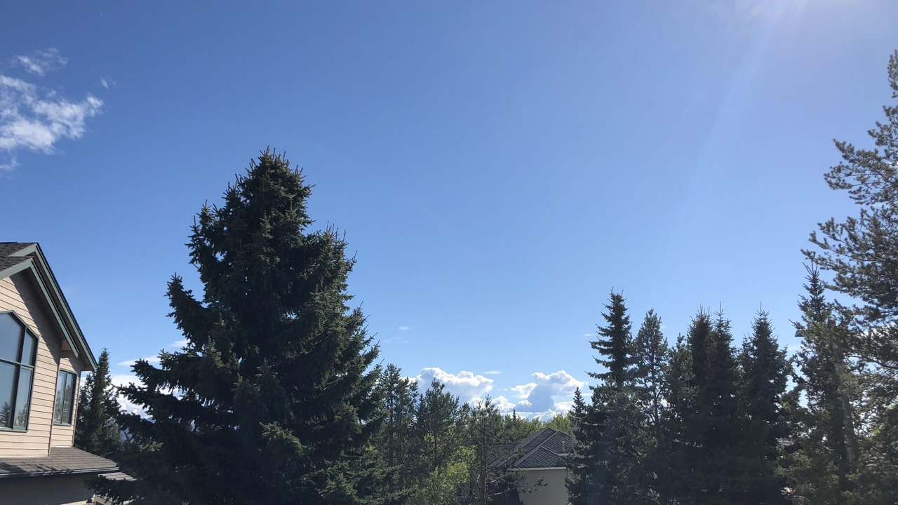 Photo of Others in Anchorage