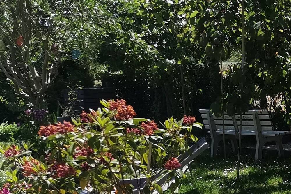 Photo of Outdoor in Le Vivier-sur-Mer