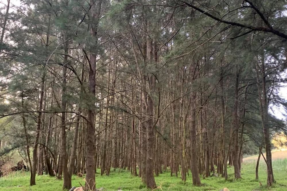 Photo of Outdoor in Little Hartley