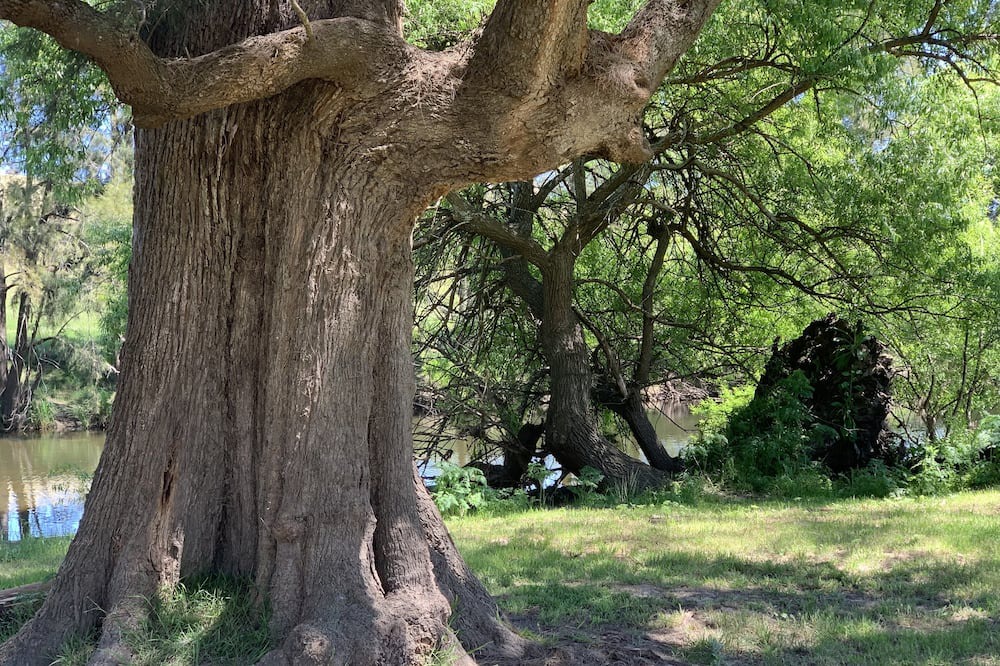 Photo of Outdoor in Little Hartley