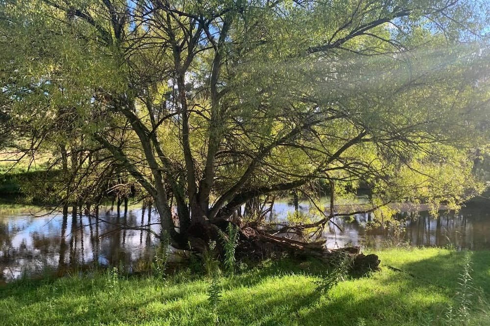 Photo of Outdoor in Little Hartley