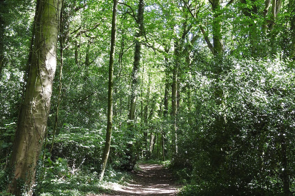 Photo of Outdoor in Kingscote