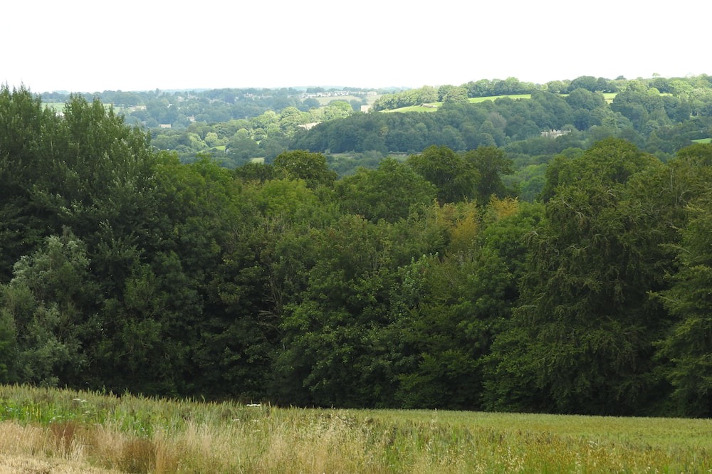 Photo of Others in Kingscote