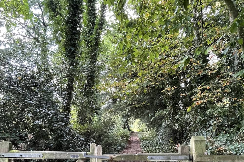 Photo of Outdoor in Kingscote