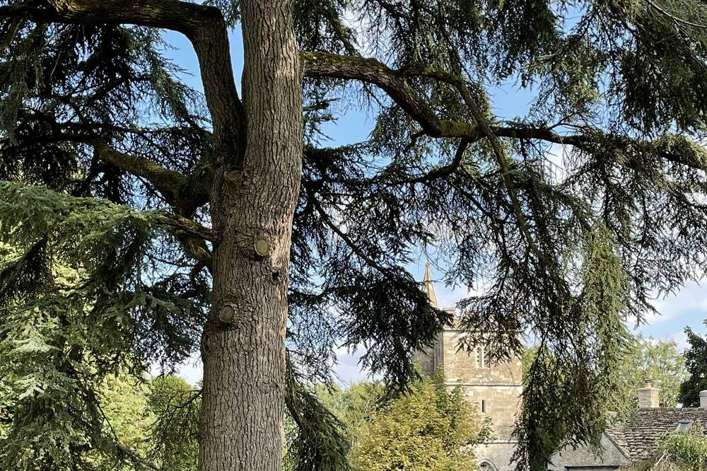 Photo of Outdoor in Kingscote