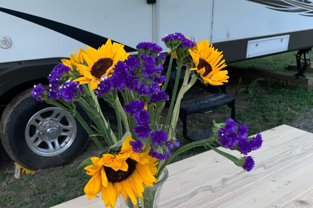 Photo of Others in Hamlin