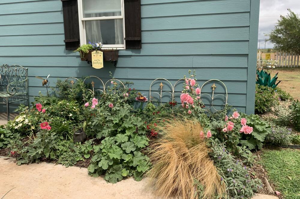 Photo of Outdoor in Levelland