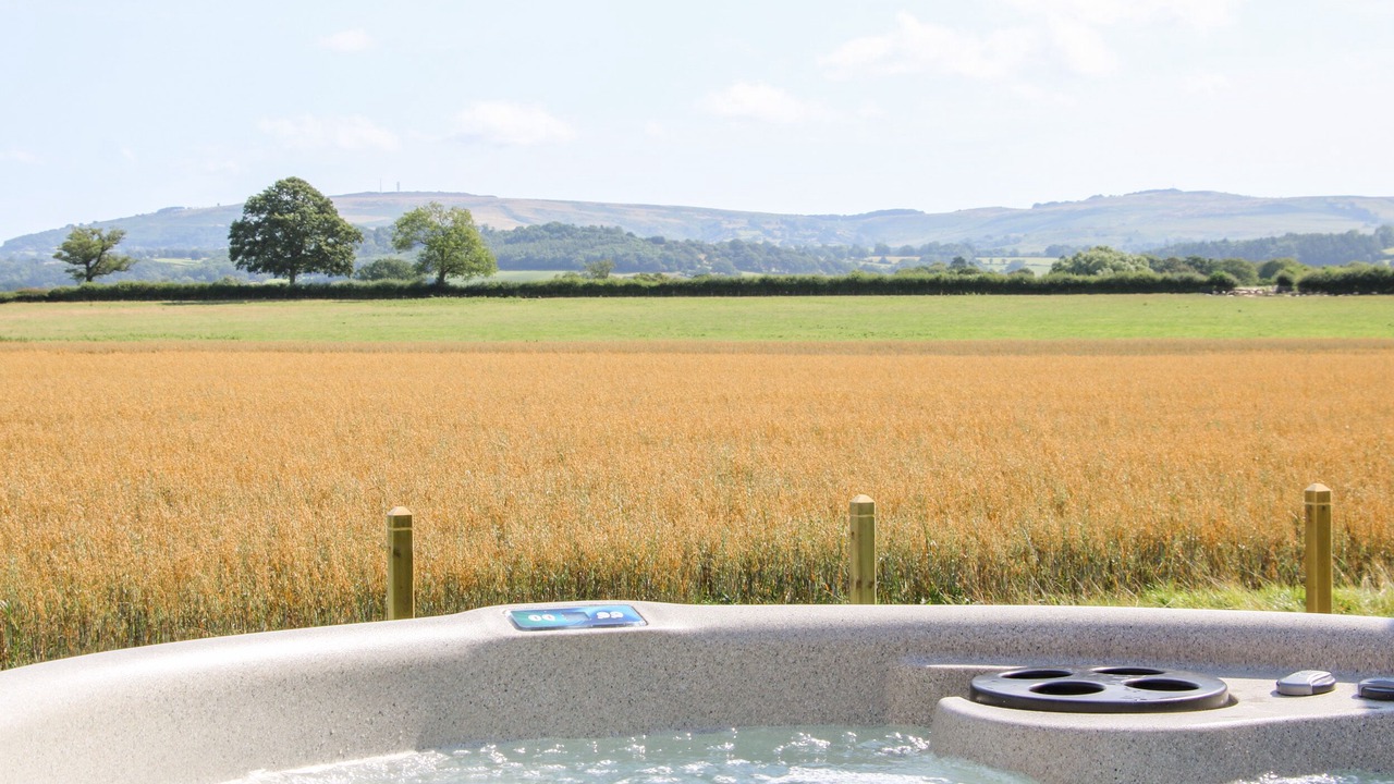 Photo of Others in Diddlebury