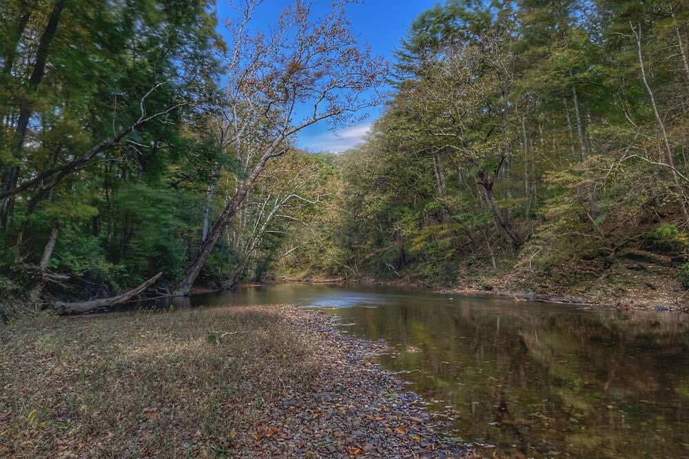 Photo of Others in Craig Creek