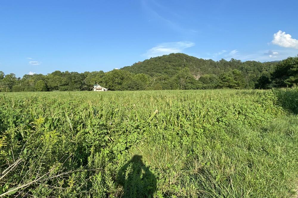 Photo of Others in Craig Creek