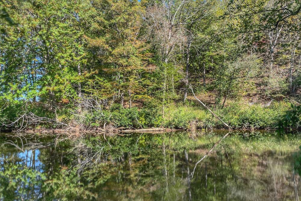 Photo of Others in Craig Creek