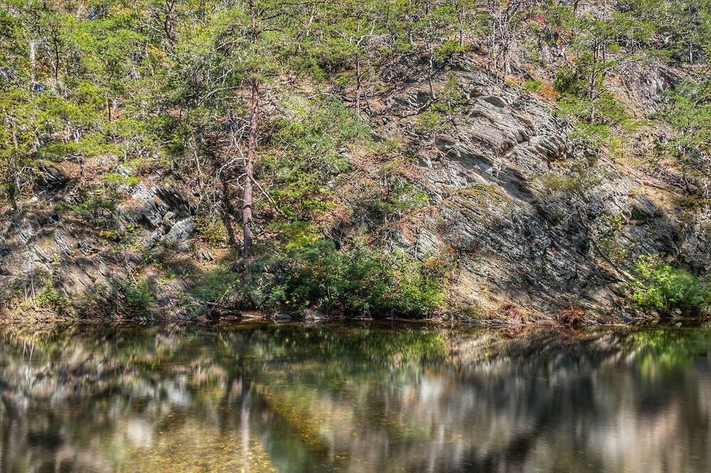 Photo of Others in Craig Creek