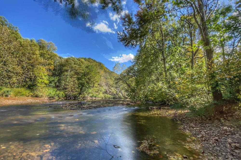 Photo of Others in Craig Creek