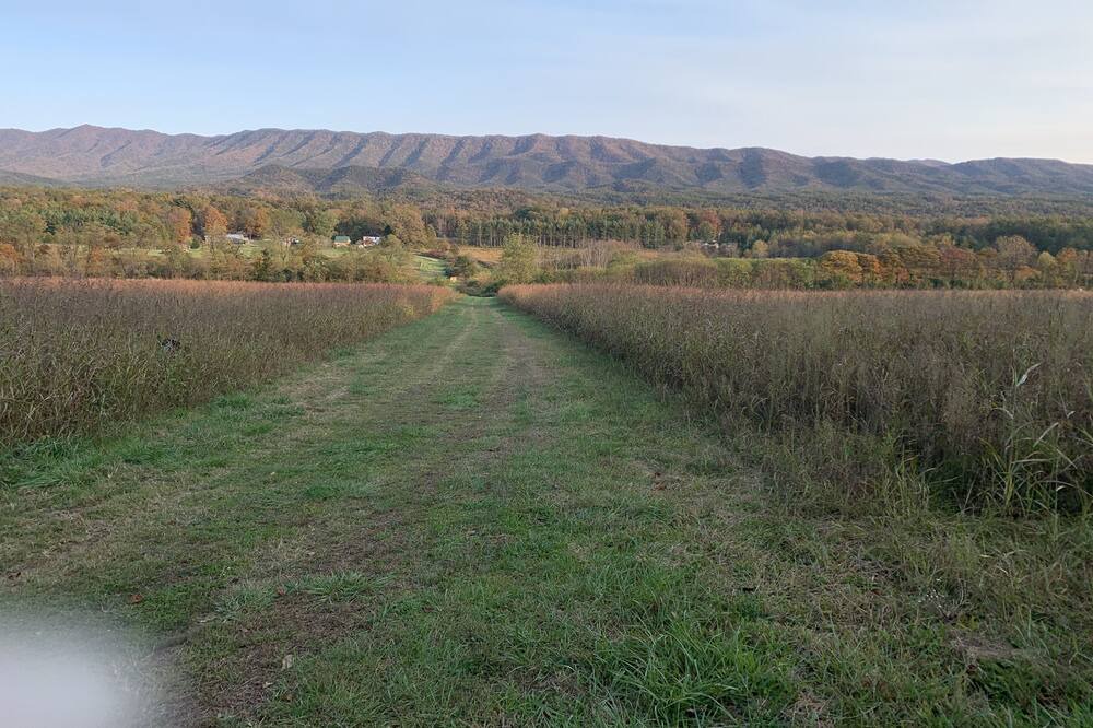 Photo of Others in Craig Creek