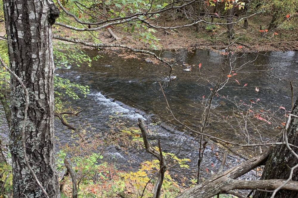 Photo of Others in Craig Creek