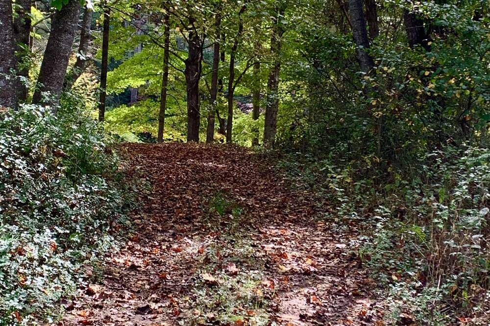 Photo of Others in Craig Creek