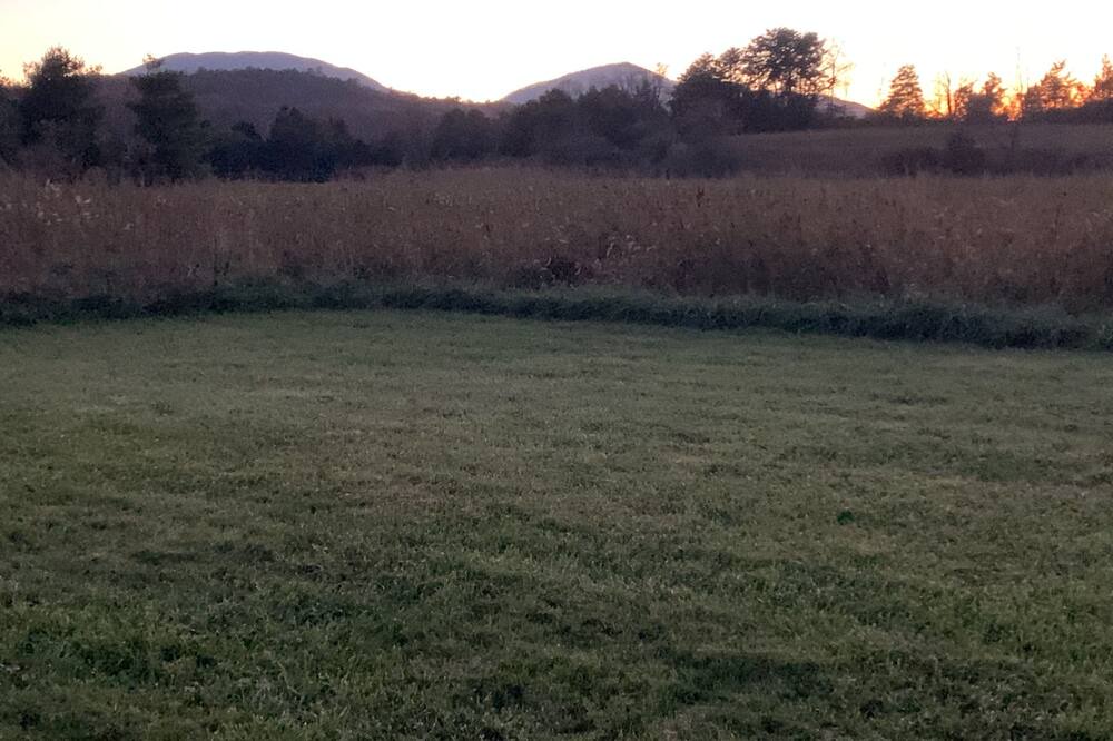Photo of Others in Craig Creek