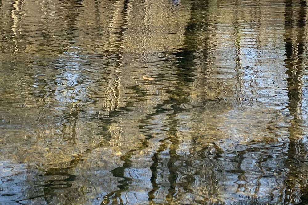 Photo of Others in Craig Creek