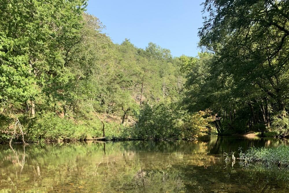 Photo of Others in Craig Creek