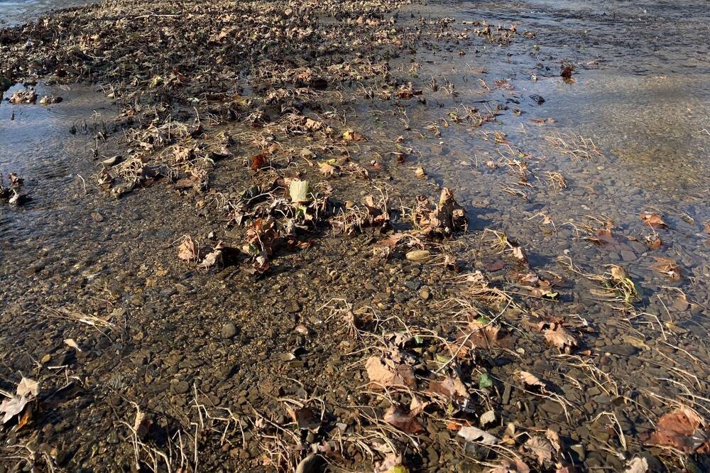 Photo of Others in Craig Creek