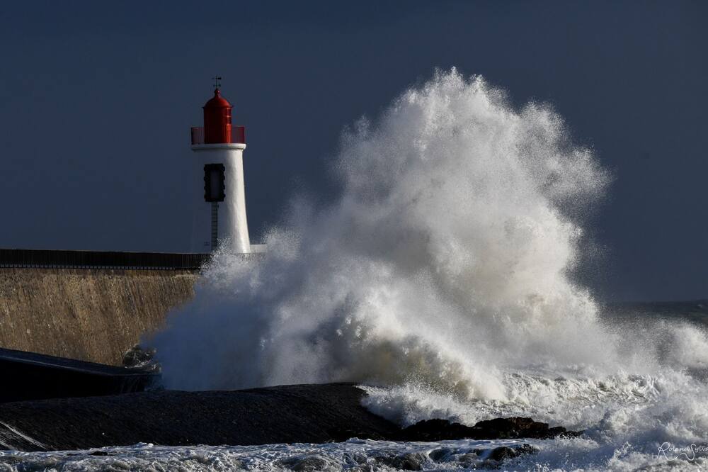 Photo of Others in Olonne-sur-Mer