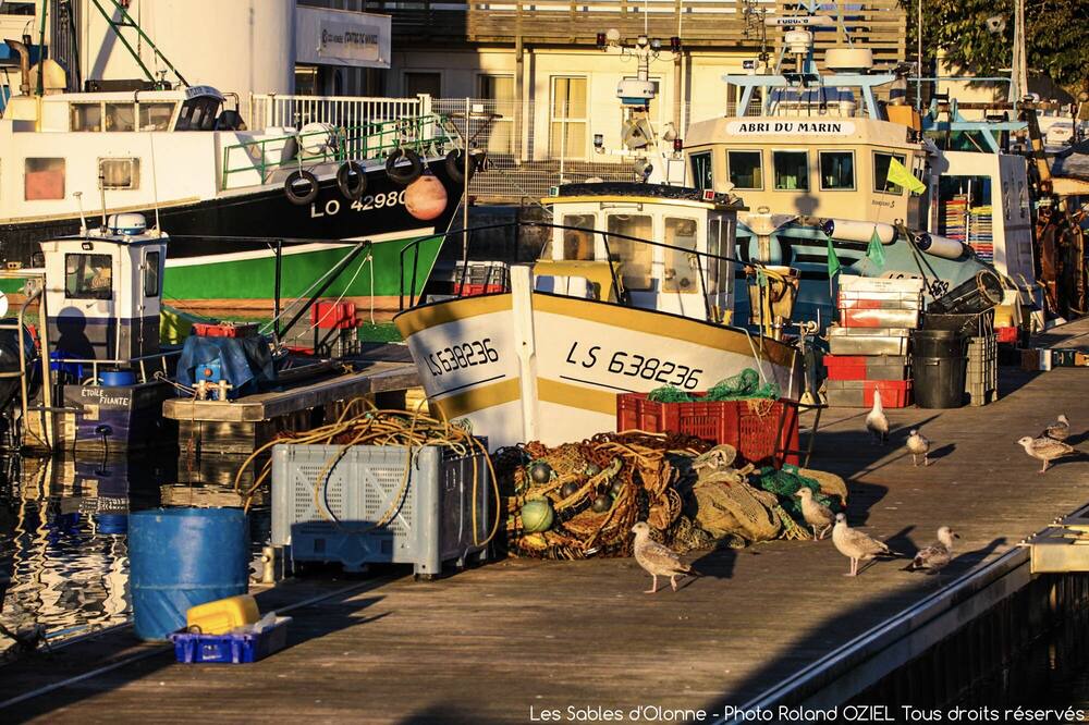 Photo of Others in Olonne-sur-Mer