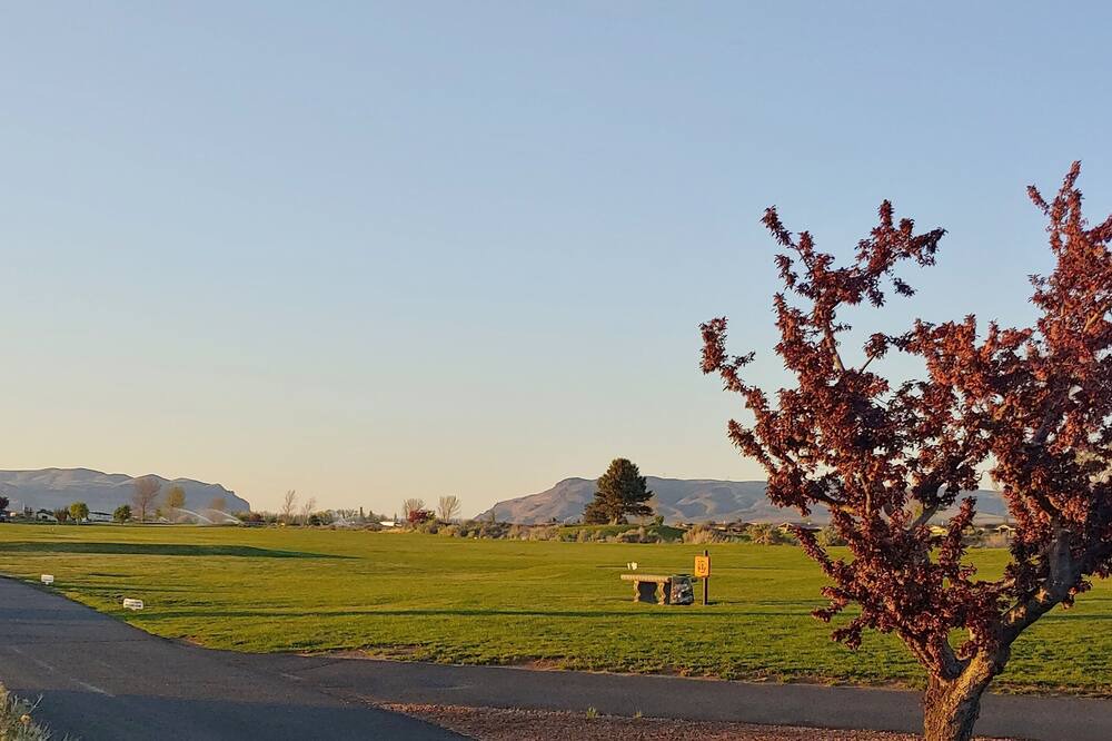 Photo of Others in Desert Aire