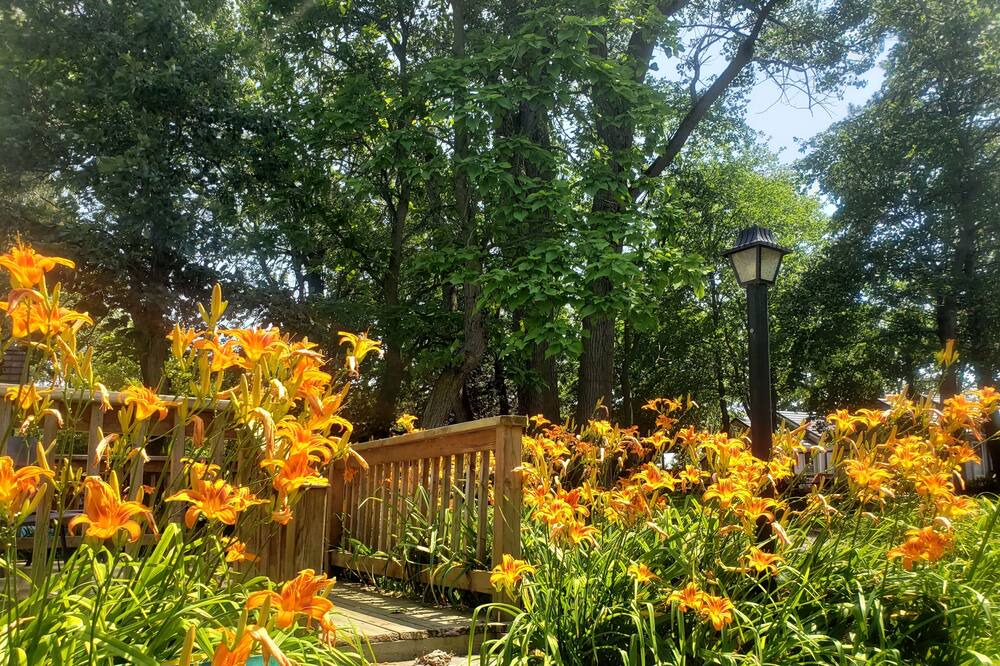 Photo of Outdoor in Wainfleet