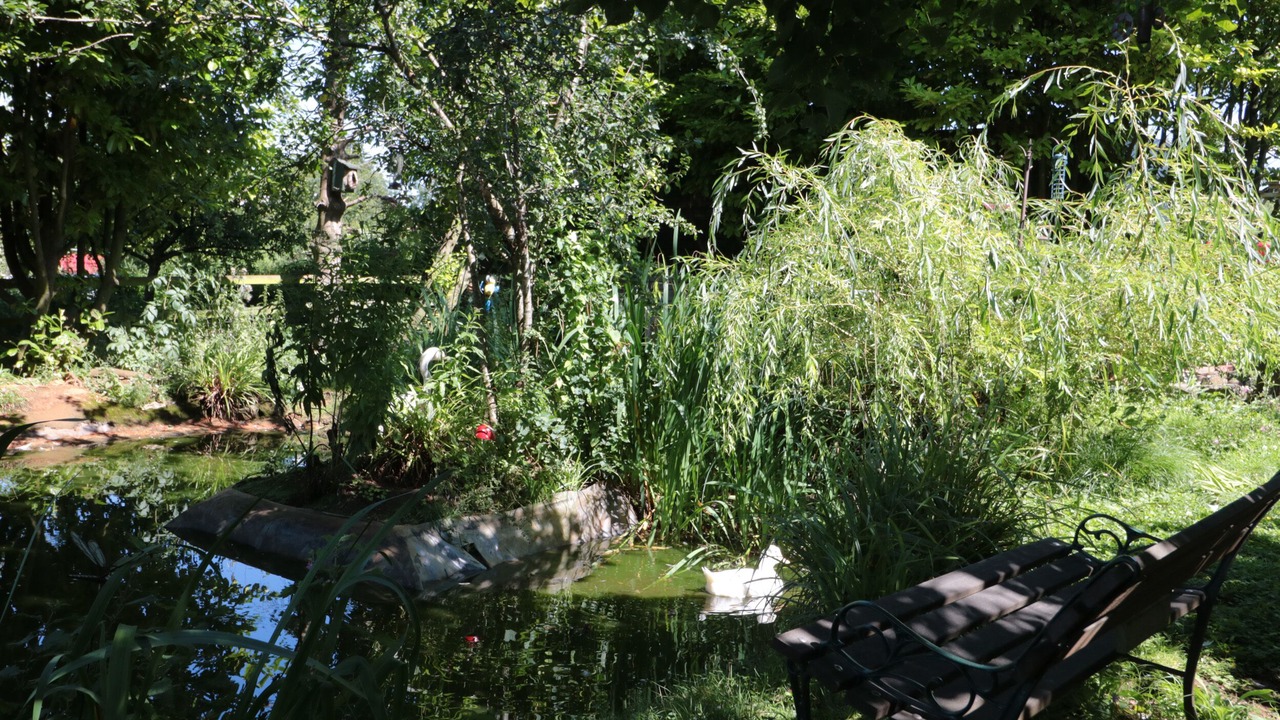 Photo of Others in Shipham