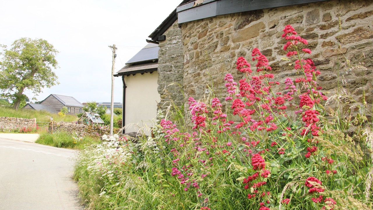 Photo of Others in Bishops Castle