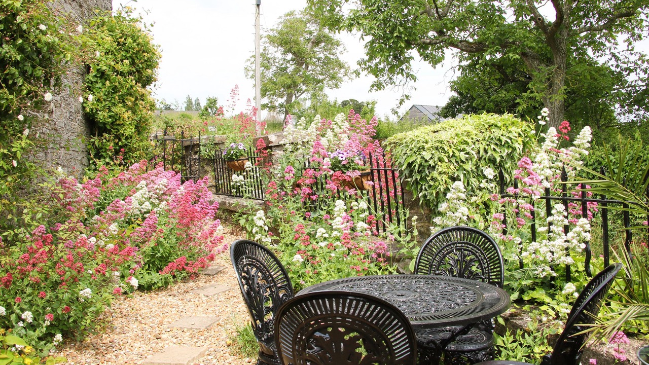 Photo of Others in Bishops Castle