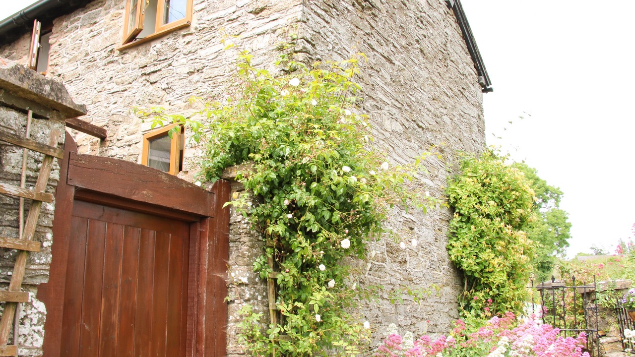 Photo of Others in Bishops Castle