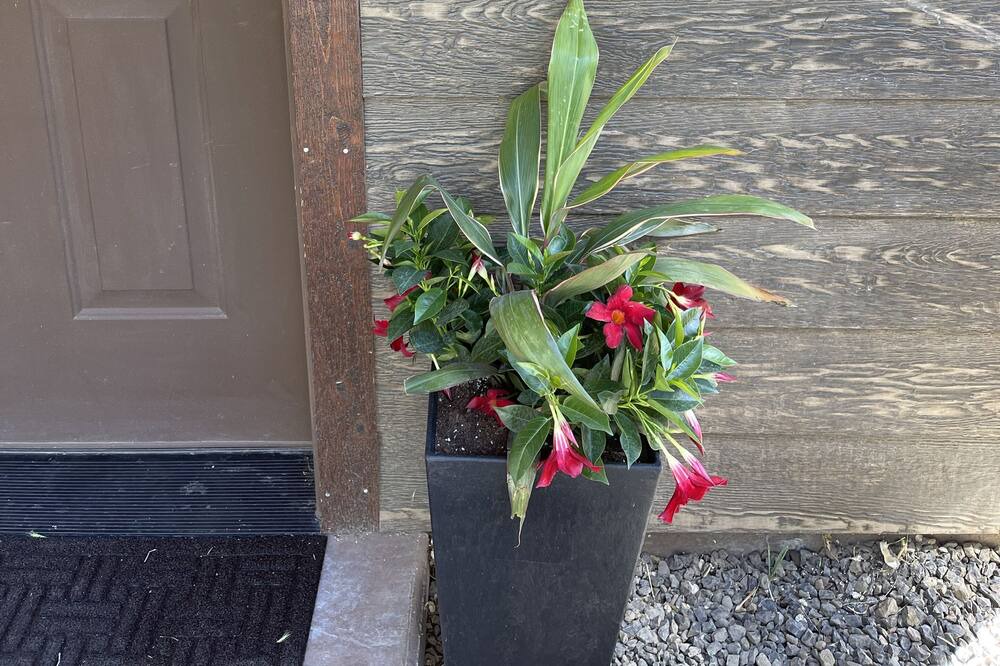 Photo of Others in Riggins