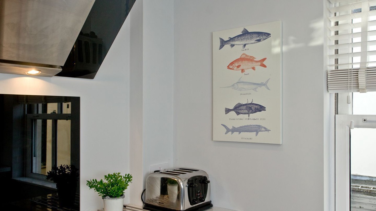 Photo of Others in Torquay City Centre