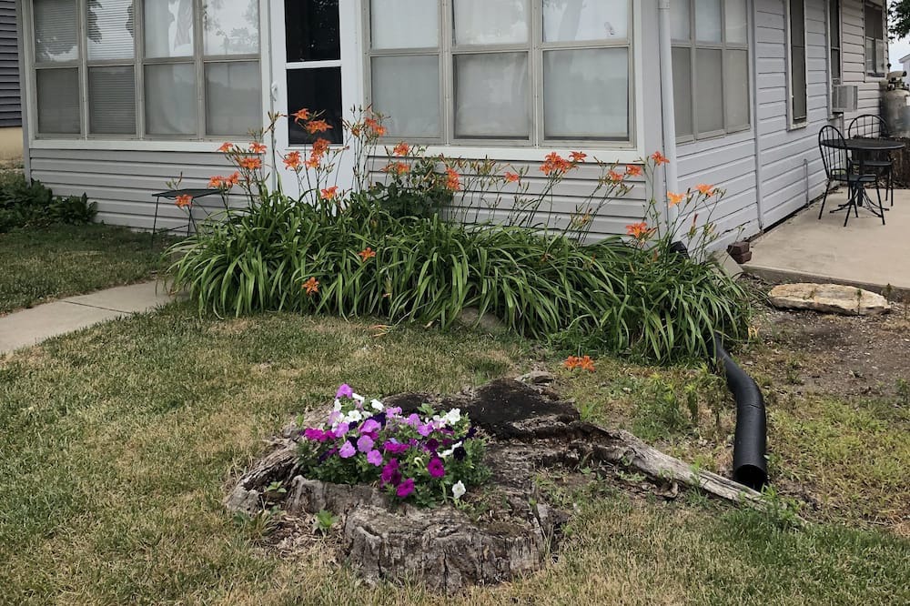 Photo of Outdoor in Lake View