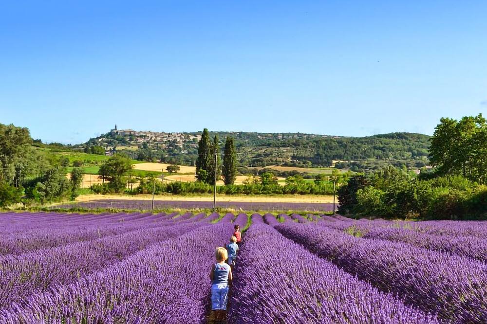 Photo of Others in Saint-Saturnin-les-Avignon