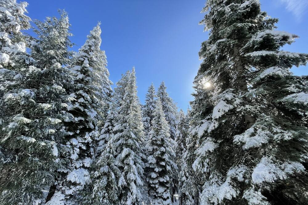 Photo of Outdoor in Pollock Pines