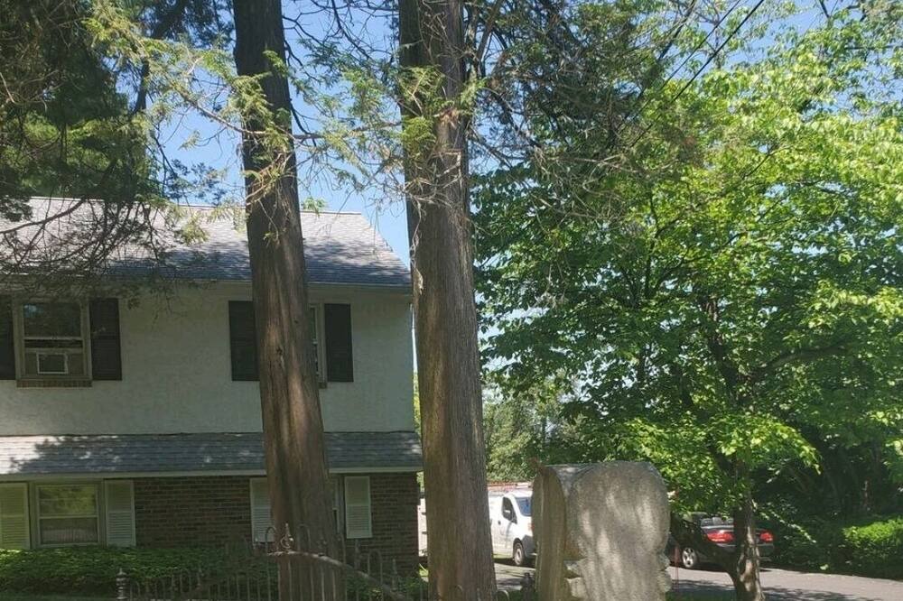 Photo of Outdoor in Chestnut Hill
