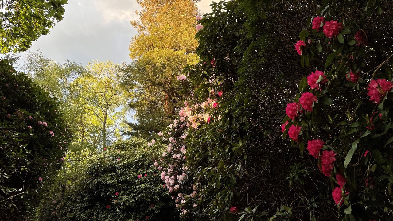 Photo of Others in Westcott