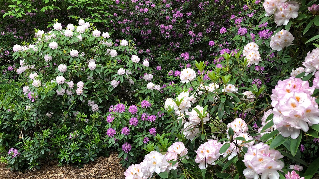 Photo of Others in Westcott