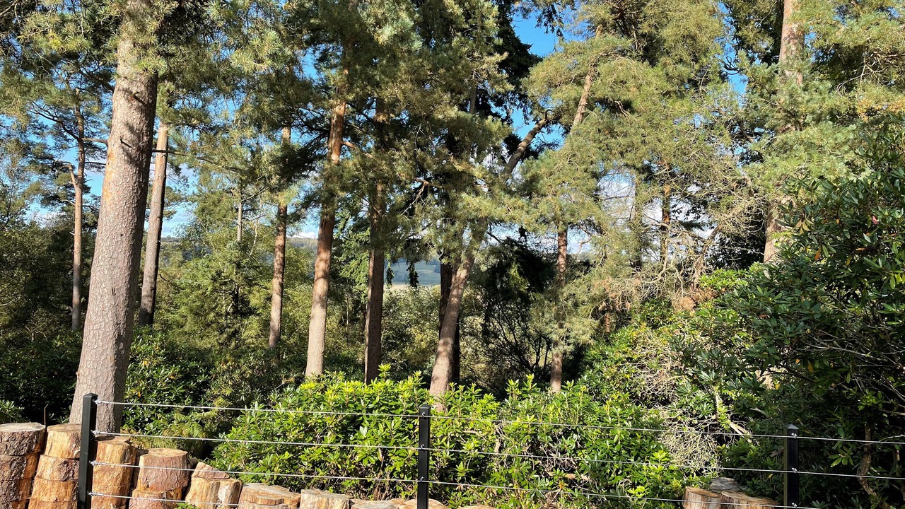 Photo of Others in Westcott