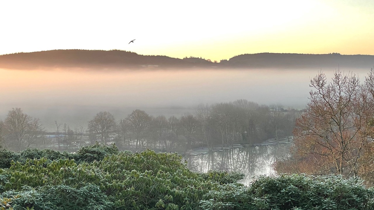 Photo of Others in Westcott