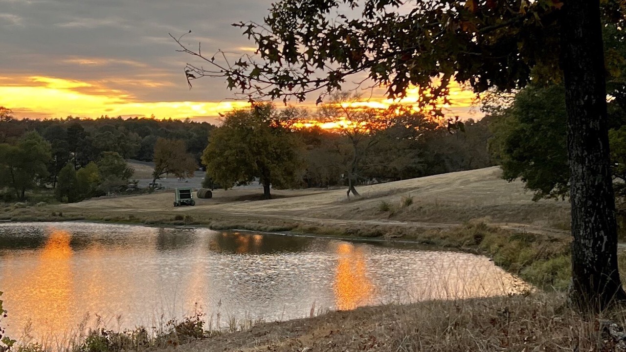 Photo of Outdoor in Watson