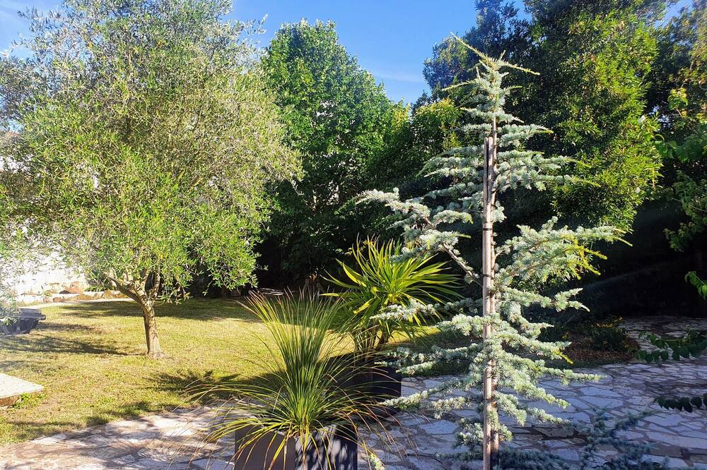Photo of Outdoor in Lucon