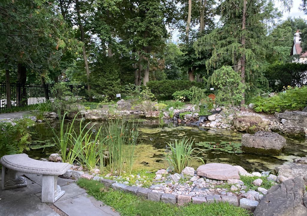 Photo of Outdoor in Lakeview