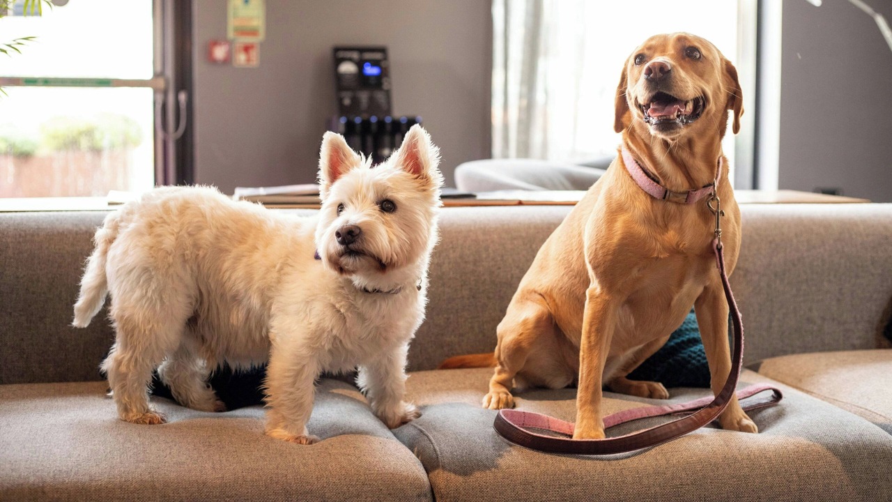 Photo of Others in Finnieston