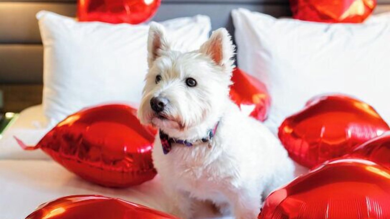 Photo of Bedroom in Finnieston