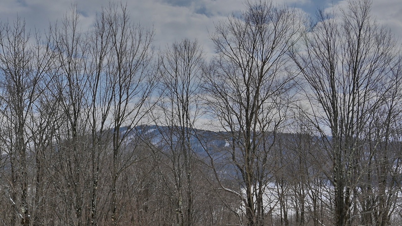 Photo of Others in Union Dale