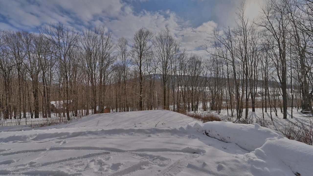 Photo of Others in Union Dale