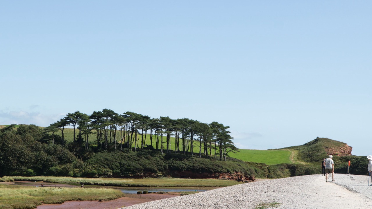 Photo of Others in Budleigh Salterton
